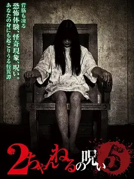 《2ch的诅咒 Vol.5[电影解说]》全集高清完整版在线观看与剧情解析