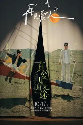 《再见爱人第四季》全集高清完整版在线观看与剧情解析