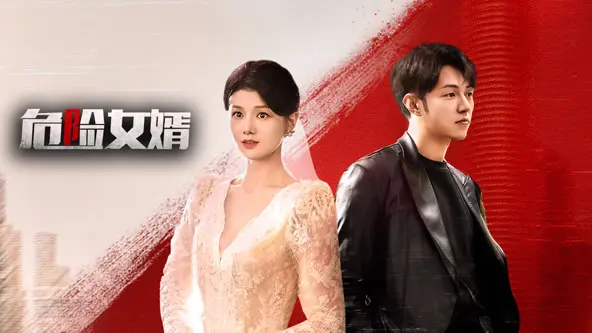 《危险女婿》全集高清完整版在线观看与剧情解析