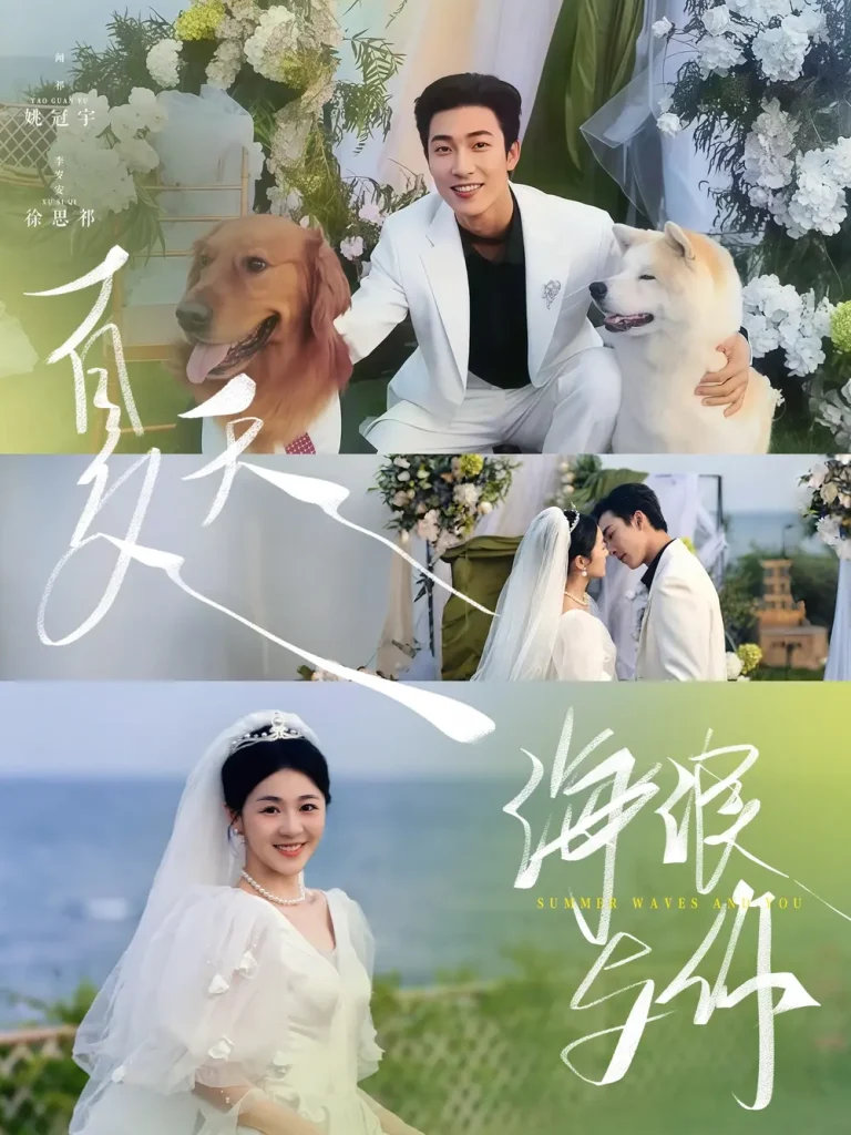 《夏天,海浪与你》全集高清完整版在线观看与剧情解析