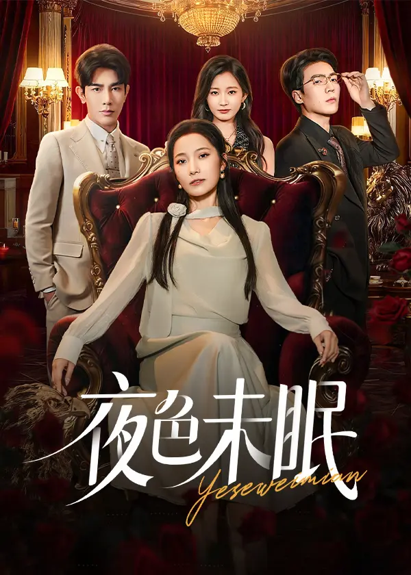 《夜色未眠》全集高清完整版在线观看与剧情解析