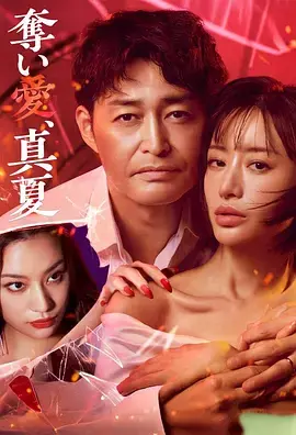 《夺爱，仲夏》全集高清完整版在线观看与剧情解析