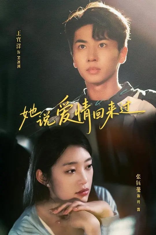 《她说爱情回来过》全集高清完整版在线观看与剧情解析