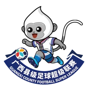 广西县级足球超级联赛 北海市合浦县队5-0崇左市龙州县队20260301