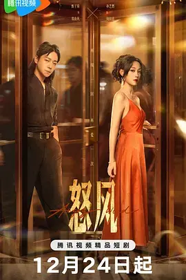 《怒风》全集高清完整版在线观看与剧情解析