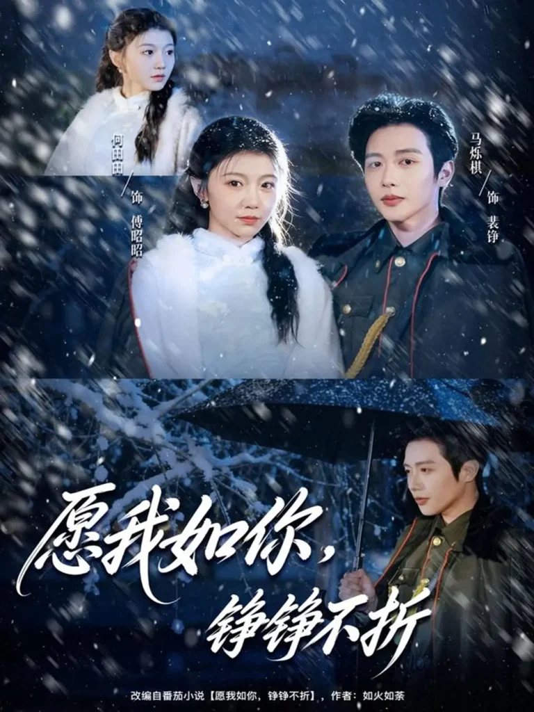 《愿我如你,铮铮不折》全集高清完整版在线观看与剧情解析