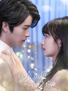 《月亮知道我爱你》全集高清完整版在线观看与剧情解析