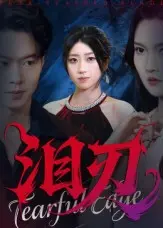 《泪刃》全集高清完整版在线观看与剧情解析