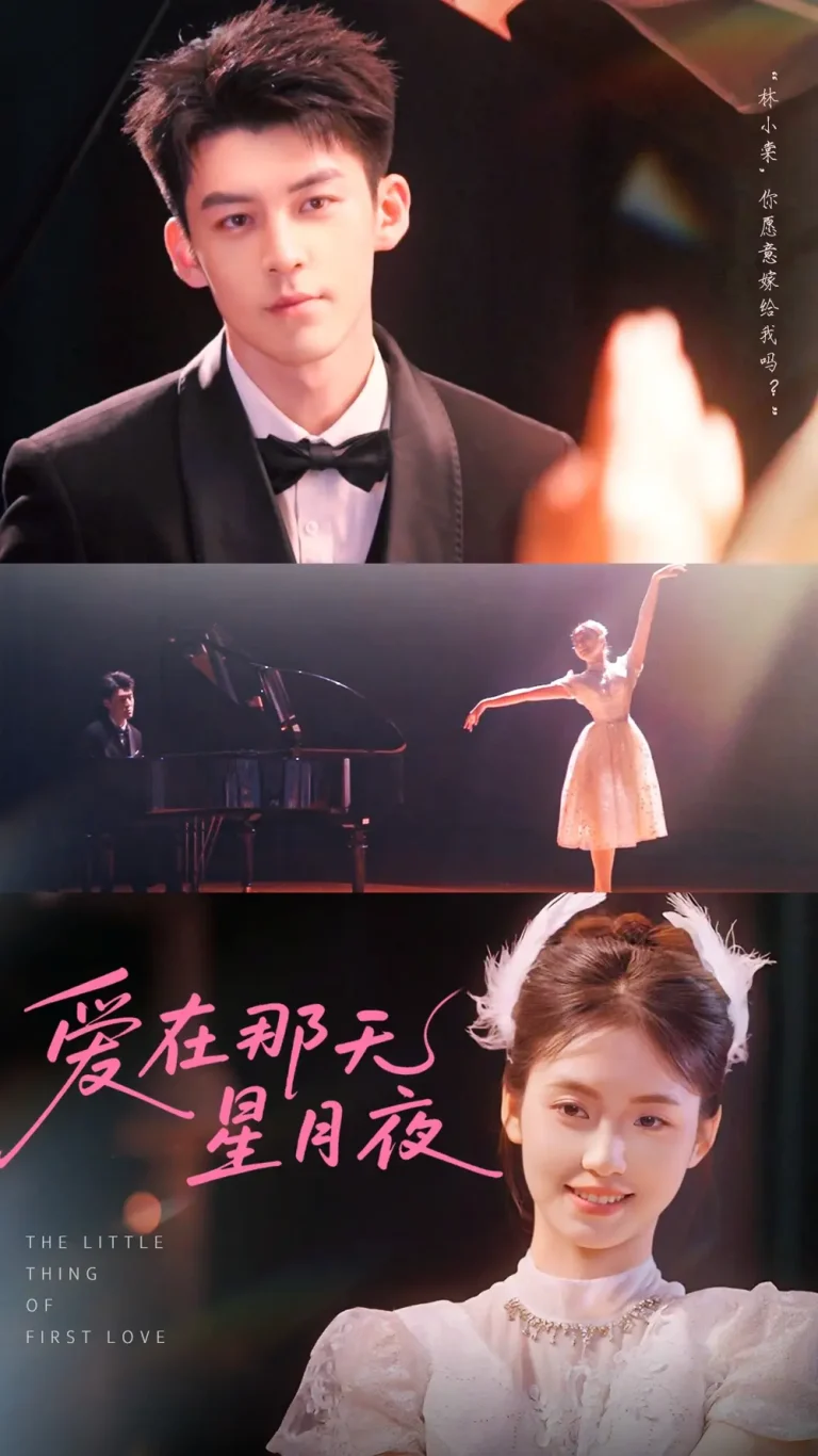 《爱在那天星月夜》全集高清完整版在线观看与剧情解析