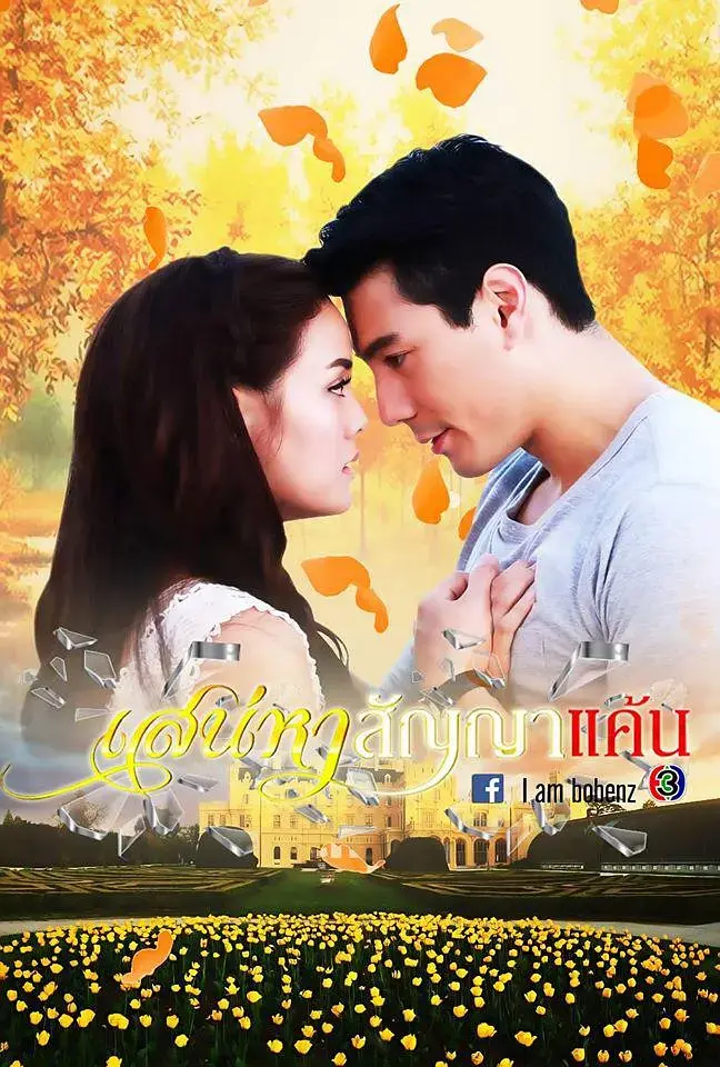 《爱恨之约[电影解说]》全集高清完整版在线观看与剧情解析