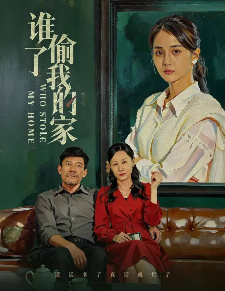 《谁偷了我的家》全集高清完整版在线观看与剧情解析