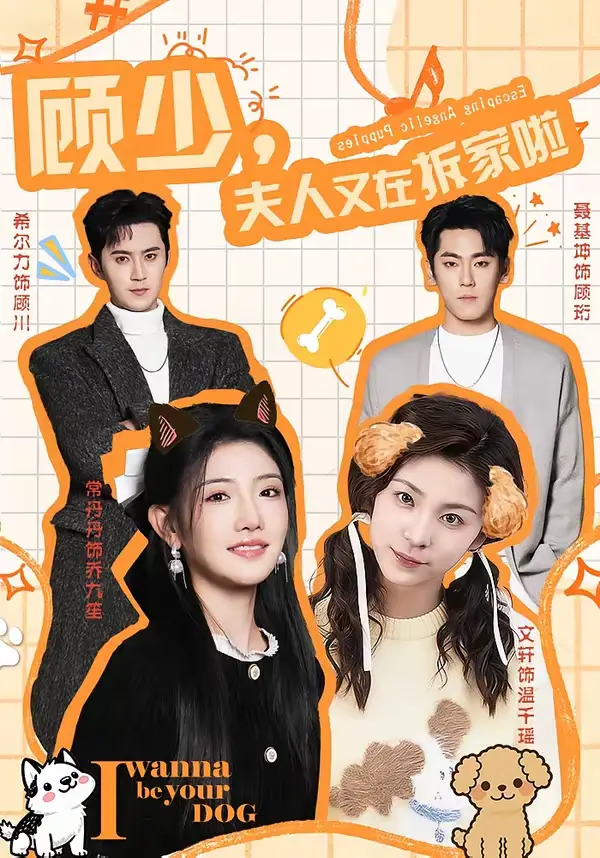 《顾少,夫人又在拆家啦》全集高清完整版在线观看与剧情解析