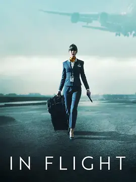 《飞航奔逃》全集高清完整版在线观看与剧情解析